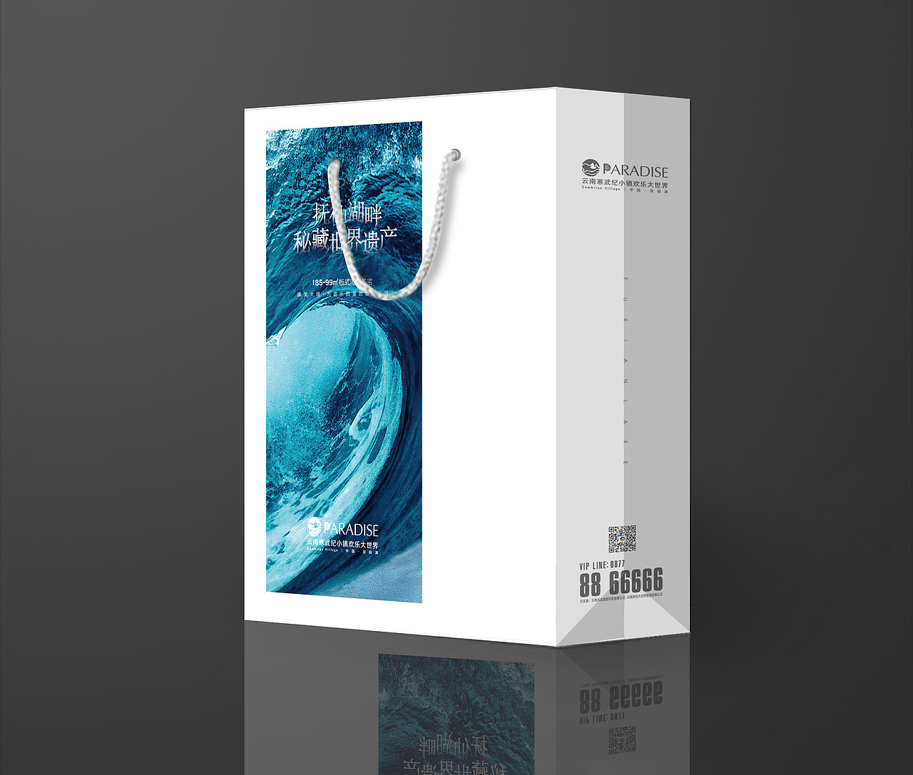 寒武纪小镇广告物料