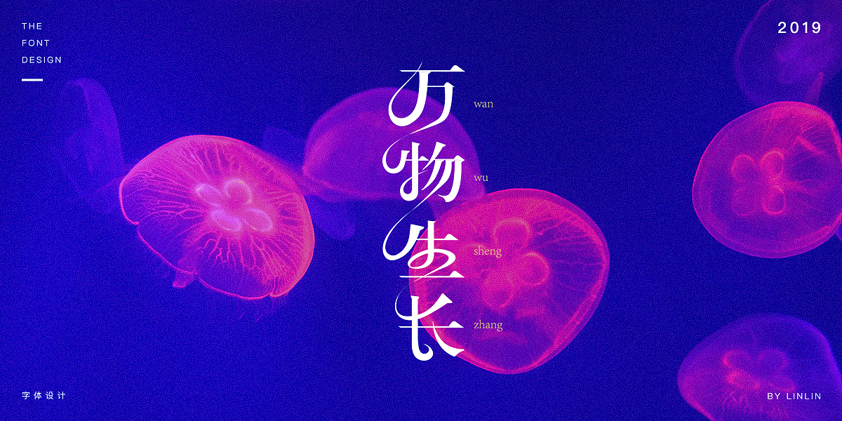 2019字体设计作品集（图ZMTU1MTgzNTIw） - 字体/字形 - 站酷设计师琳琳linlin原创素材 - 站酷ZCOOL