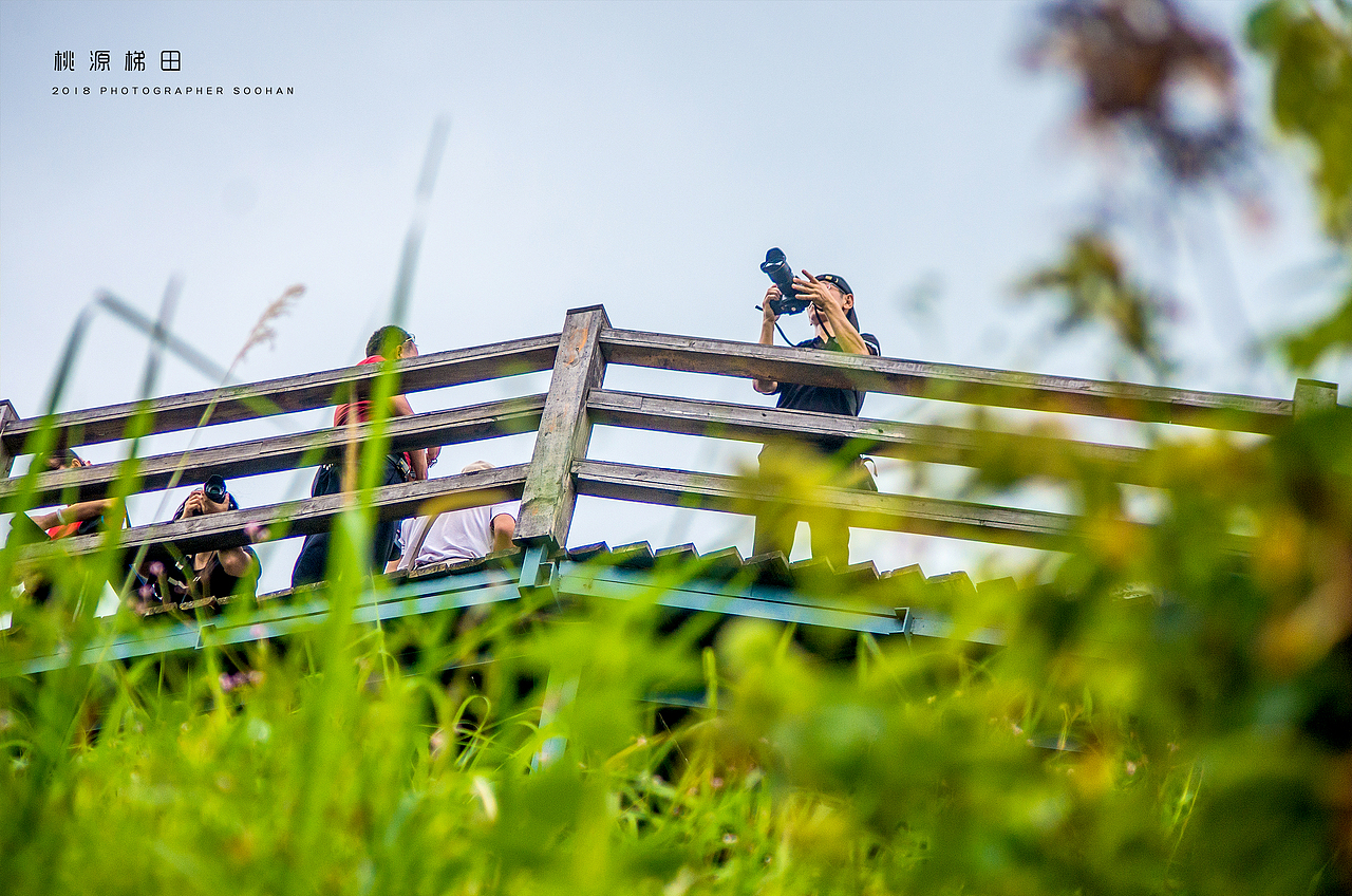 遂川桃源梯田（图ZMTI4ODg4NDEy） - 风光摄影 - 站酷设计师浓眉晓葱原创素材 - 站酷ZCOOL