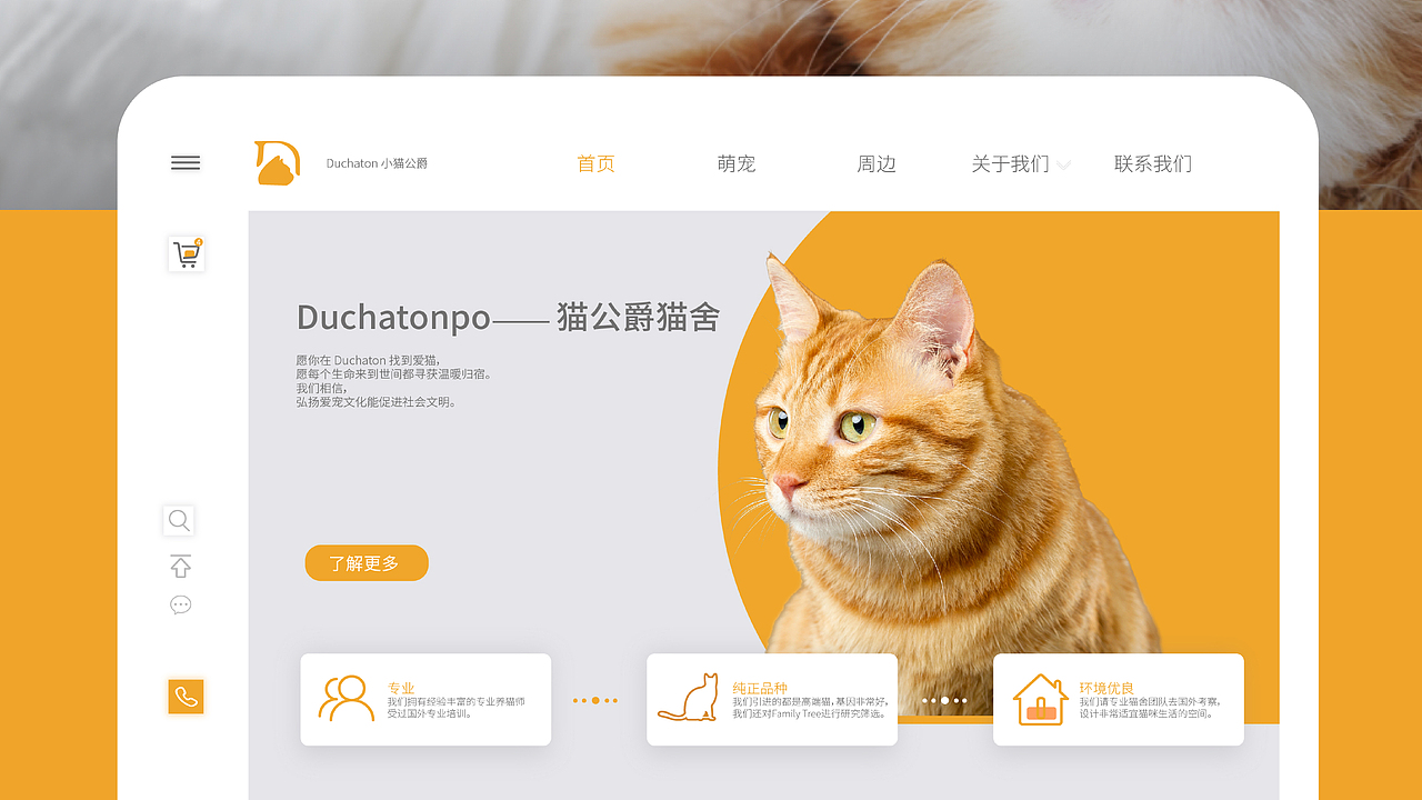 20?? - 2020 精选案例汇编(下)