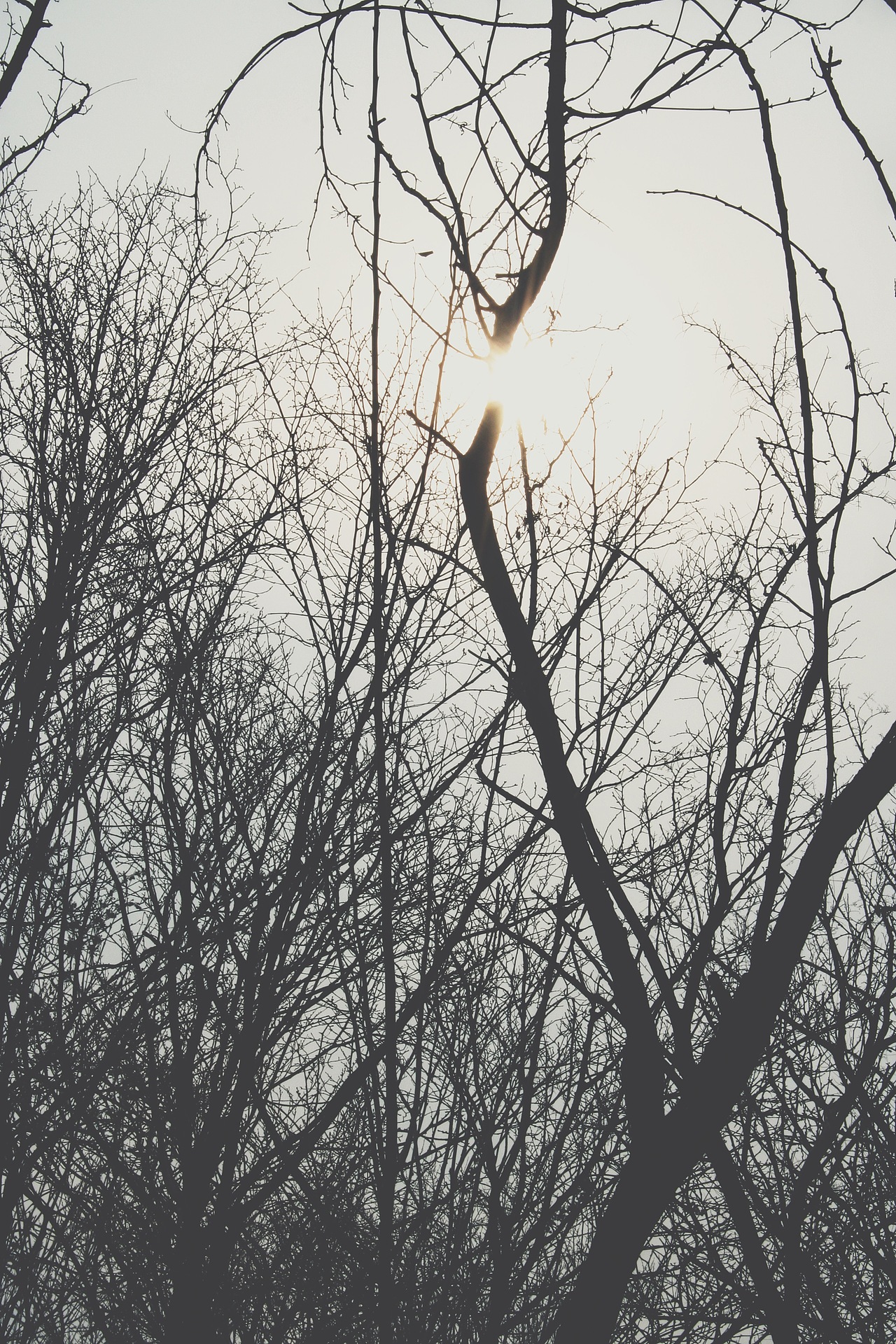 午休公园转一圈