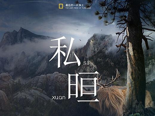 我只是一个小美工鸭