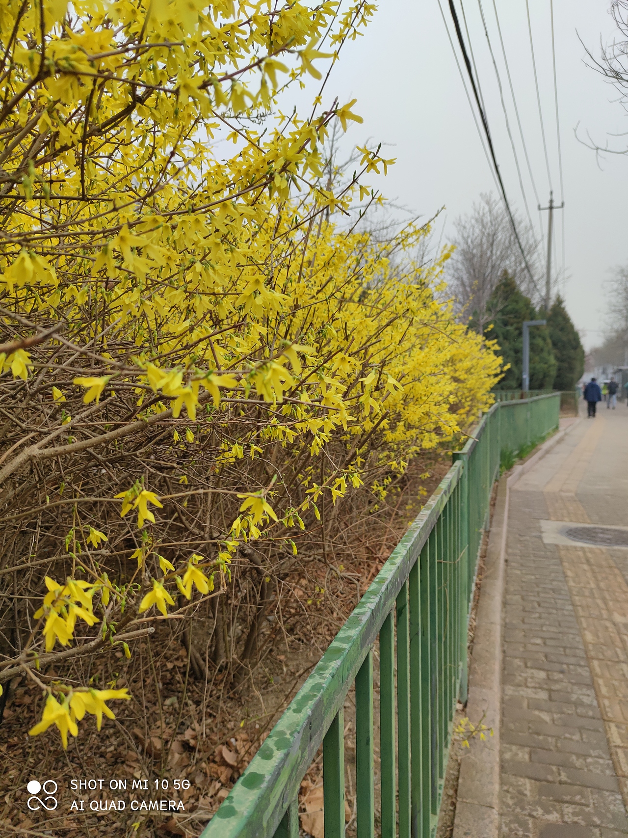 春天（图ZMjQ5NTQwOTQw） - 其他摄影 - 站酷设计师VMPR原创素材 - 站酷ZCOOL