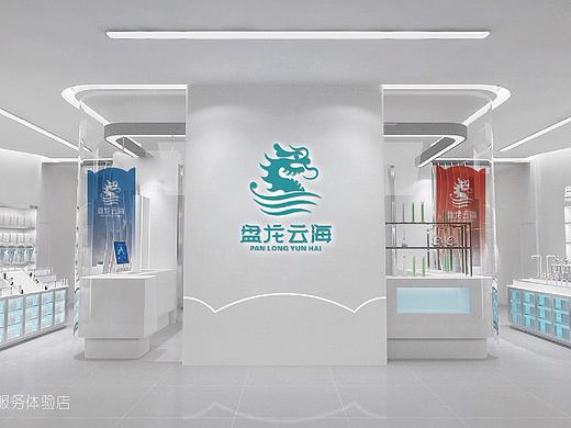 盘龙云海药业｜品牌升级策划提案