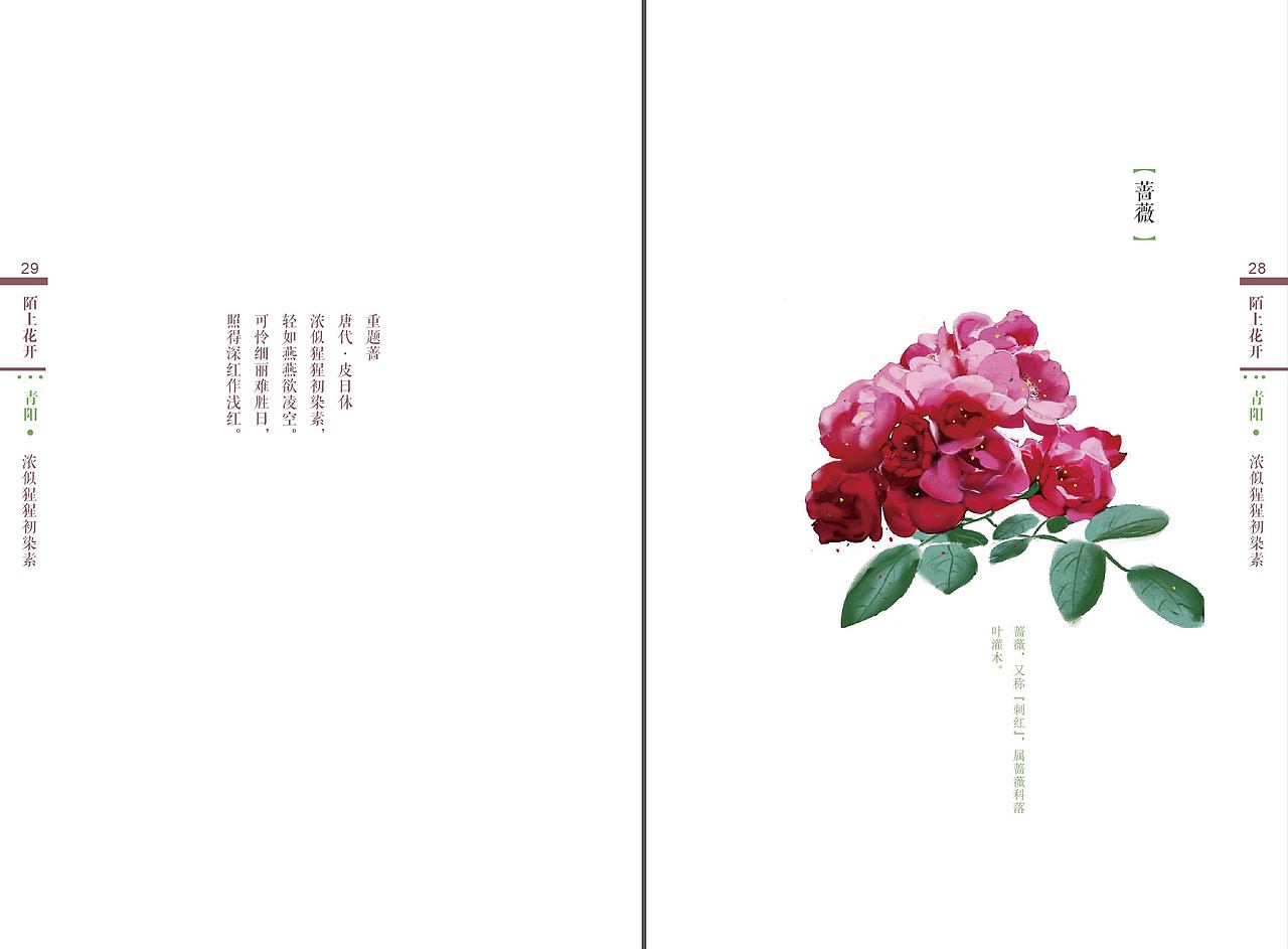 《陌上花开》