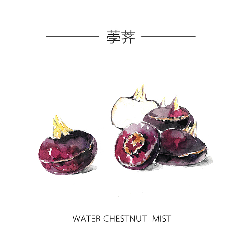 人类食谱-蔬菜（图ZMzY4MDg5MDA=） - 商业插画 - 站酷设计师反派放映原创素材 - 站酷ZCOOL