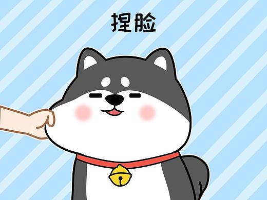 《小黑柴泡泡》表情包2.0