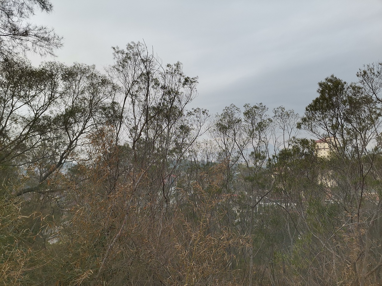 山，树，村庄，云（图ZMjM3MjIwNTEy） - 风光摄影 - 站酷设计师生活不易仍需努力原创素材 - 站酷ZCOOL