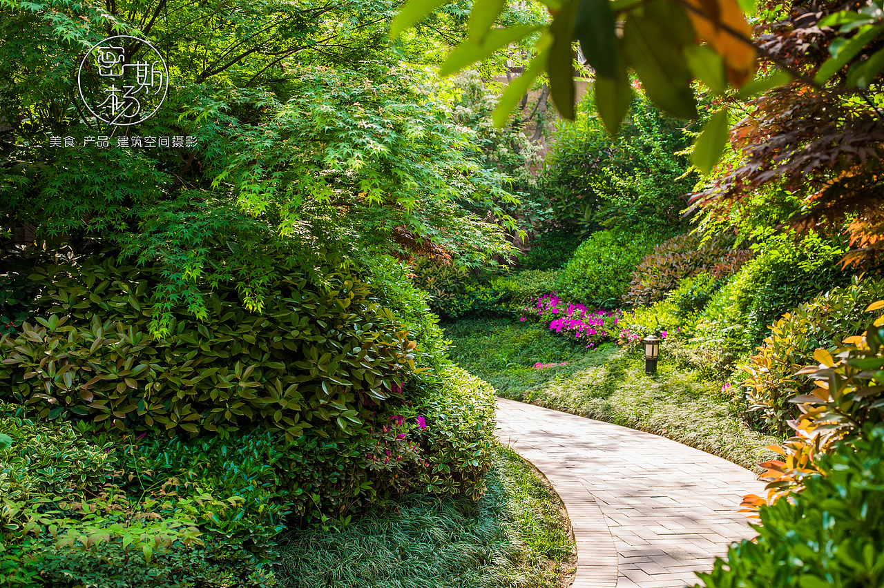 园林摄影项目--建筑空间摄影
