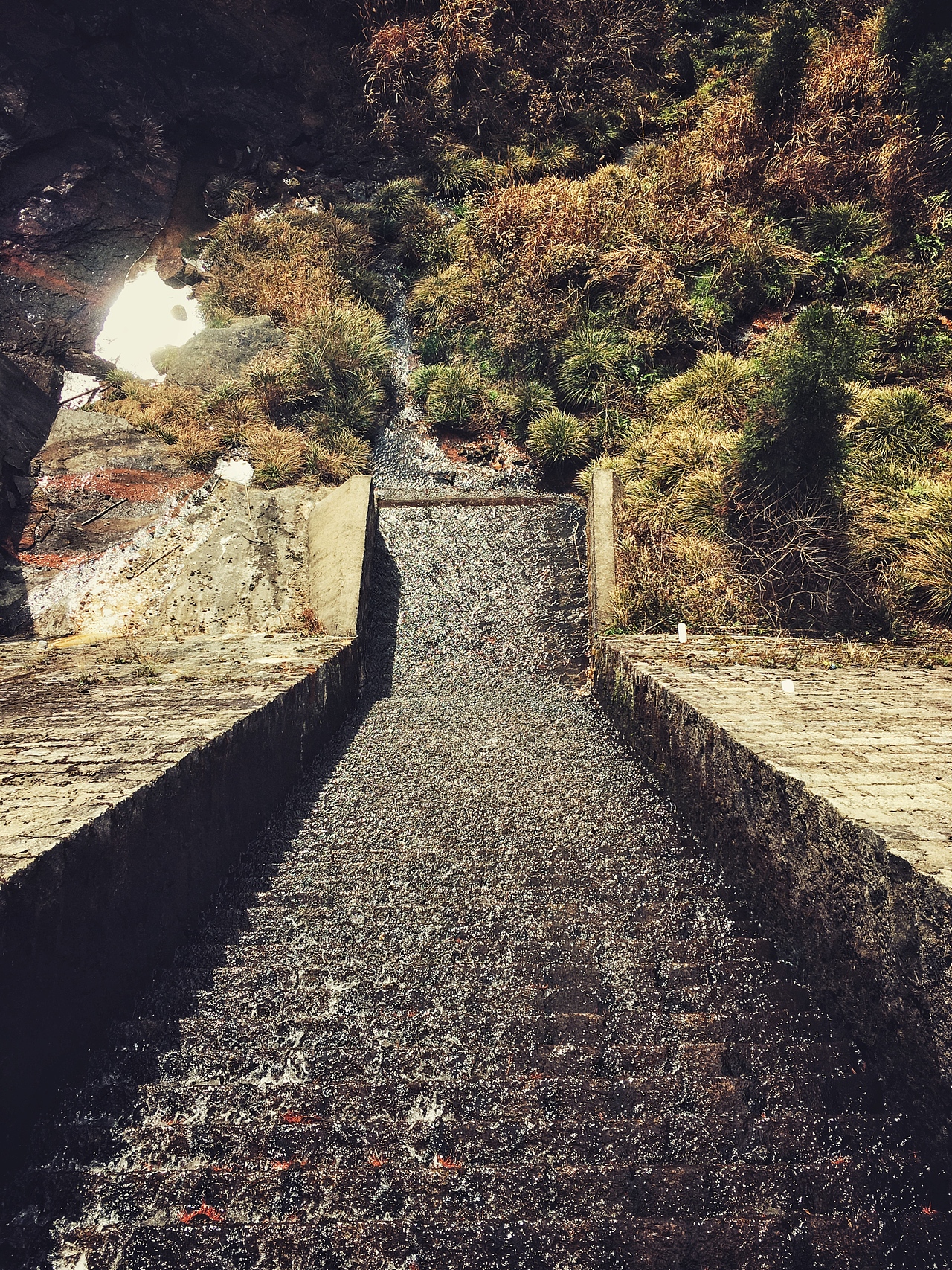 iphone6s 摄影（图ZNzQ2NzA0ODg=） - 风光摄影 - 站酷设计师神奇芋头原创素材 - 站酷ZCOOL