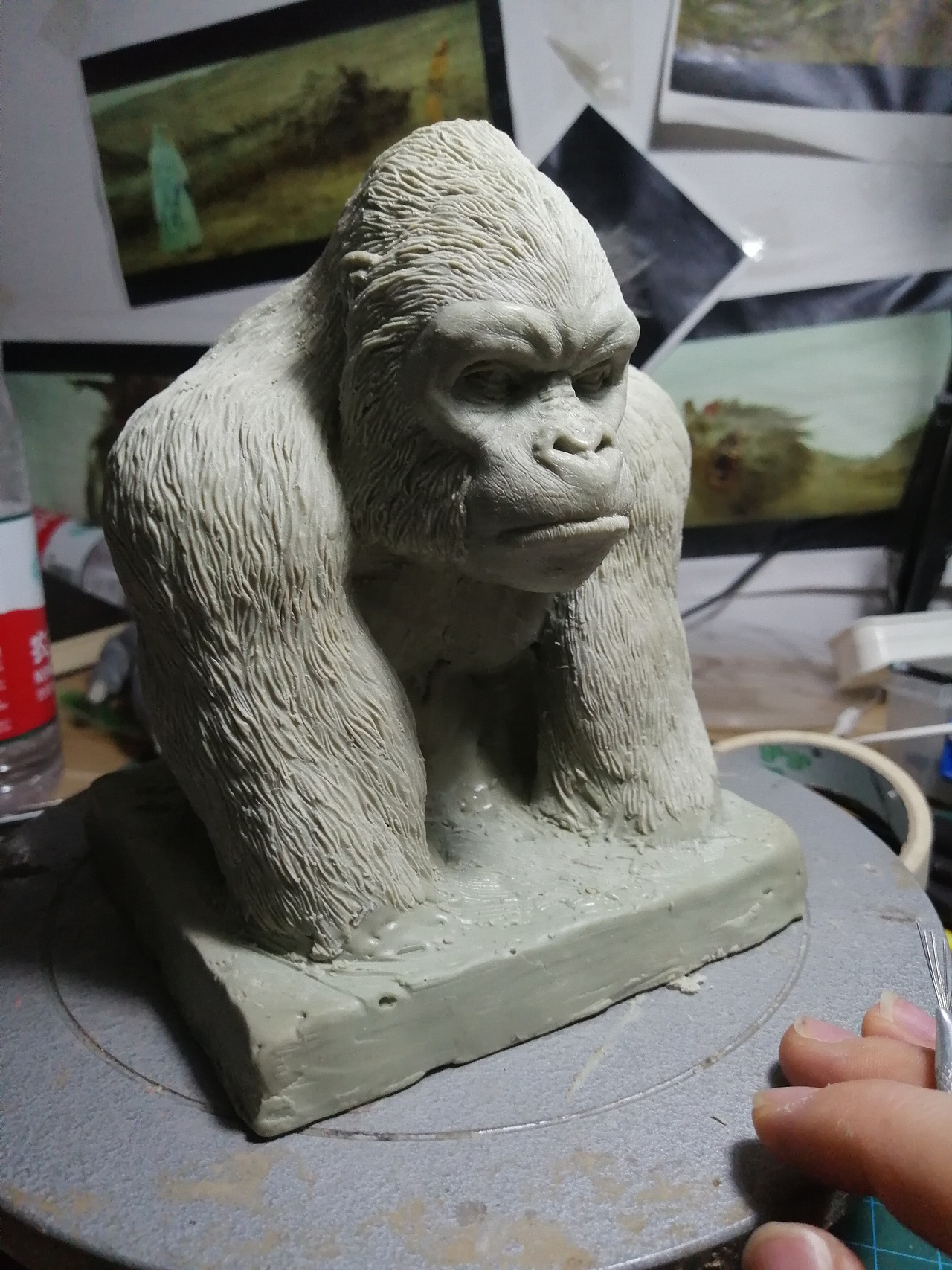 根据动物雕塑解刨学制作的大猩猩胸像,制作时进行了一些改动,继续努力