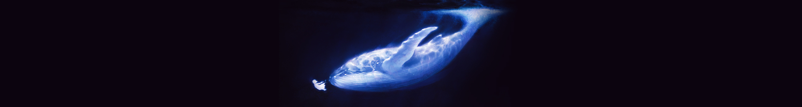 小皮友的个人主页（封面预览） - 主页封面设置 - 站酷设计师小皮友原创素材 - 站酷ZCOOL