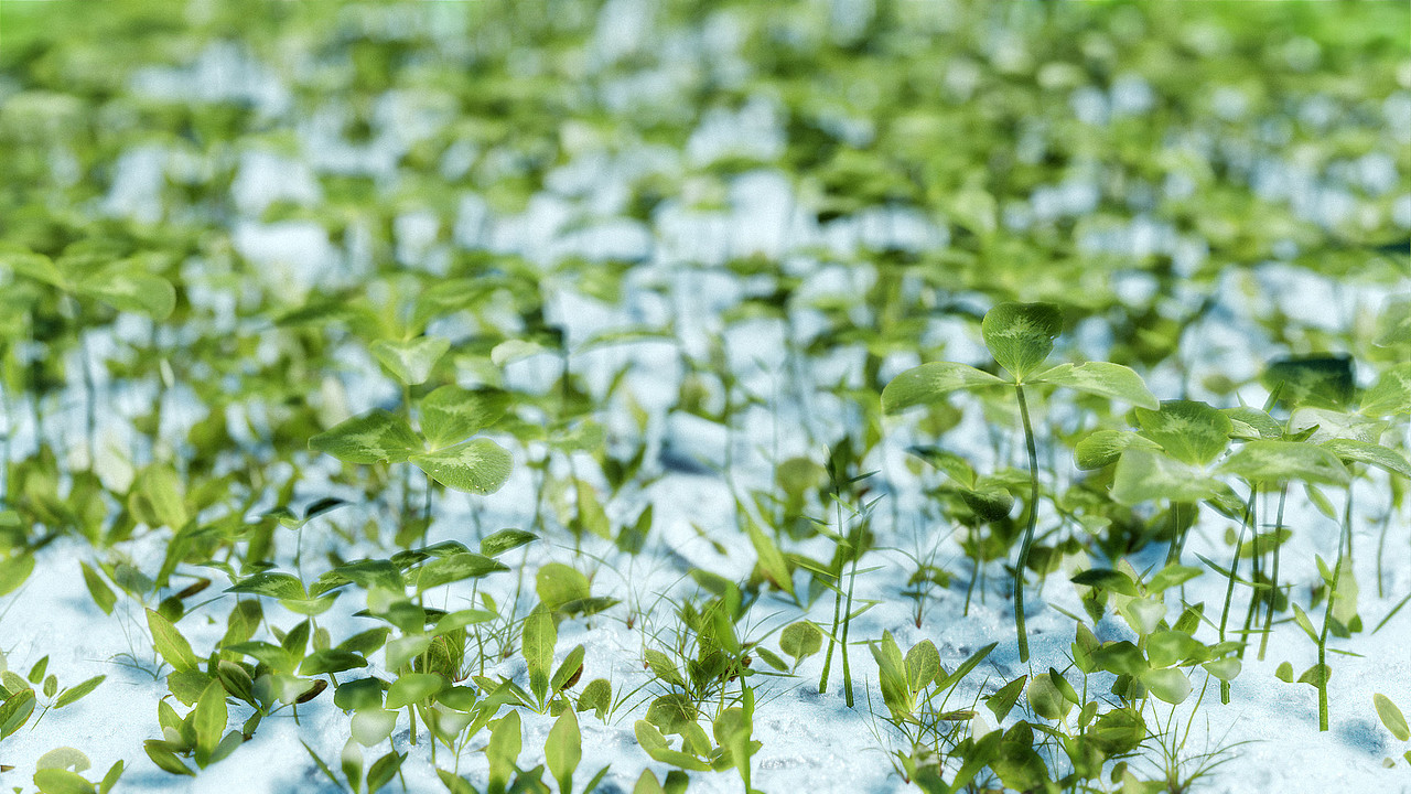 Blender Eevee 实时渲染研究(质感类)