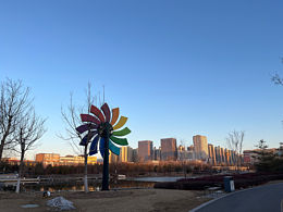 生活不是缺少美