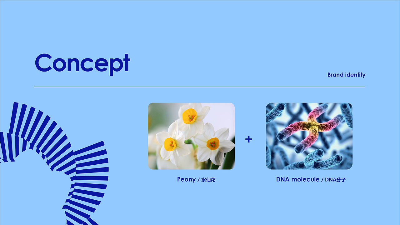 福建省精准医学产业创新中心VI品牌形象设计