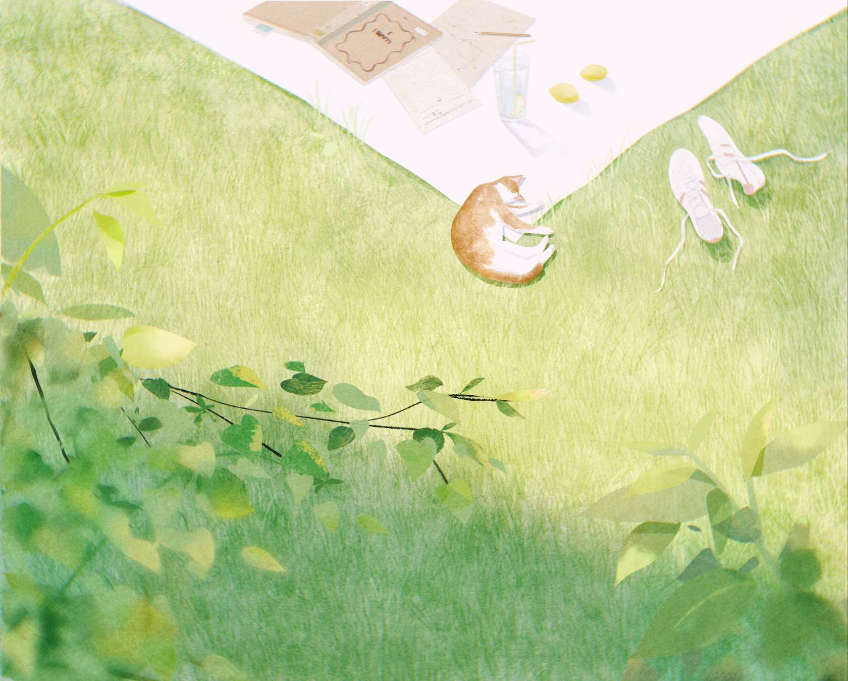 倪大寶的個人主頁（封面預(yù)覽） - 主頁封面設(shè)置 - 站酷設(shè)計師倪大寶原創(chuàng)素材 - 站酷ZCOOL