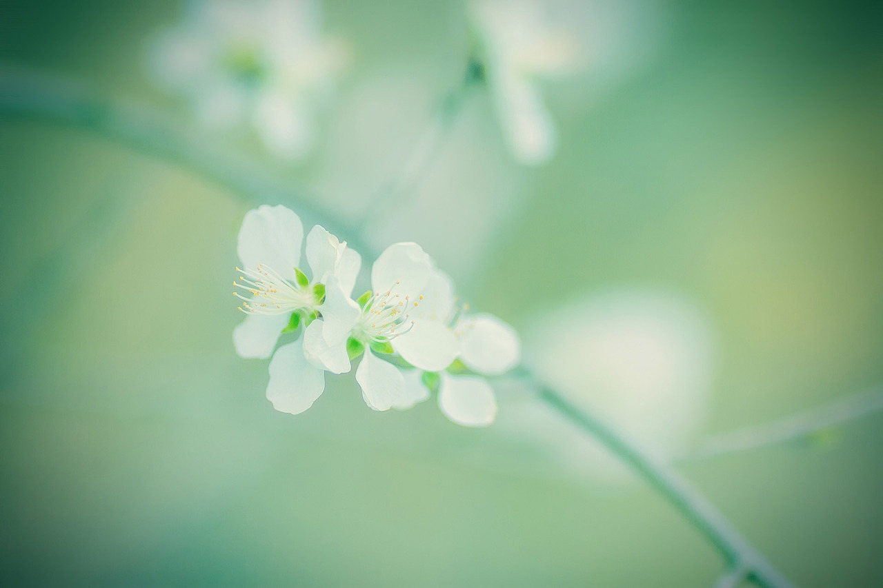 偶然發(fā)現(xiàn)的一天ya的個人主頁（背景預(yù)覽） - 主頁背景設(shè)置 - 站酷設(shè)計師偶然發(fā)現(xiàn)的一天ya原創(chuàng)素材 - 站酷ZCOOL