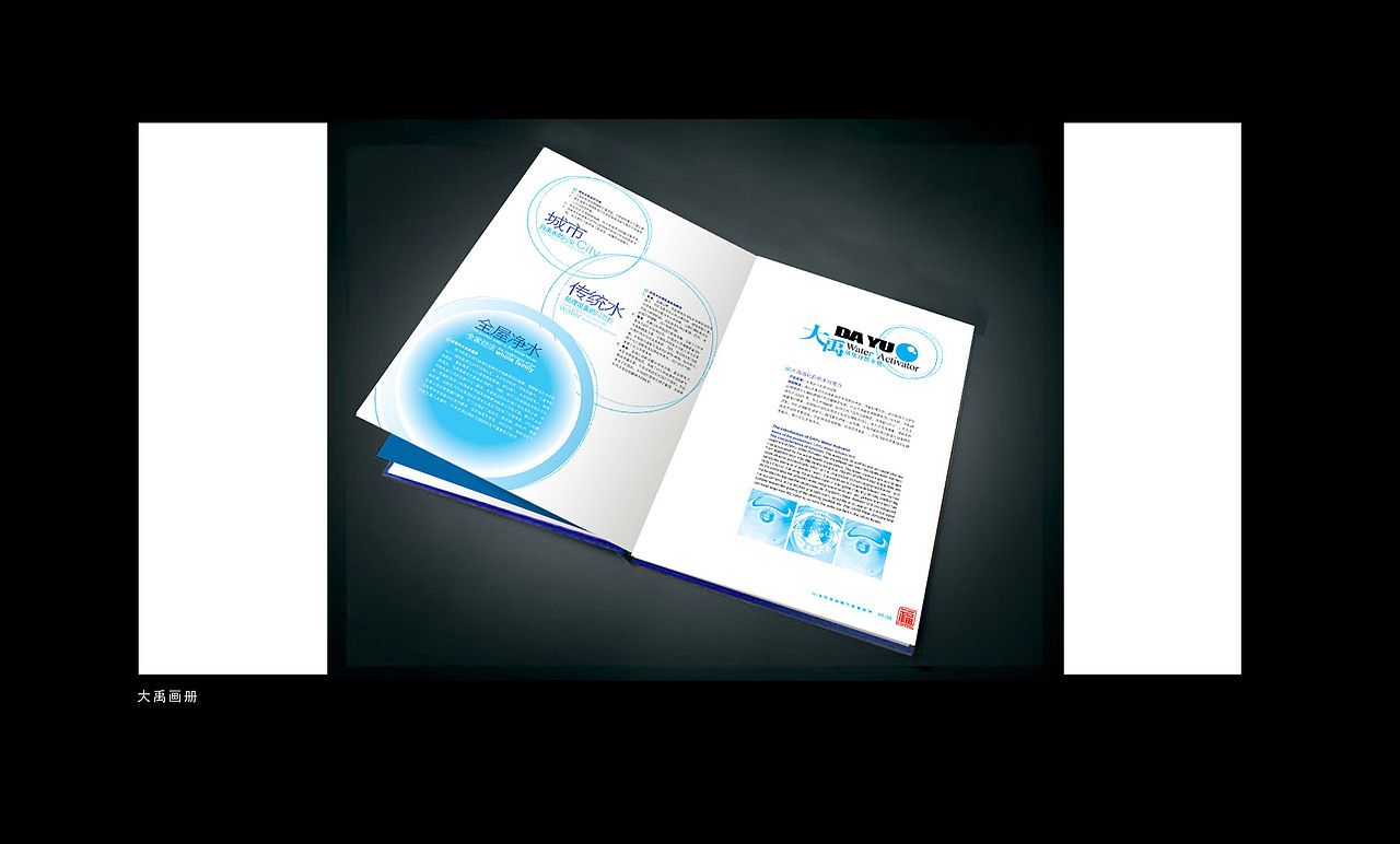 大禹（图ZMjA1Mjc5ODY0） - 书籍/画册 - 站酷设计师EVanmiao原创素材 - 站酷ZCOOL