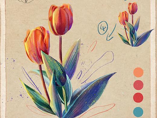 肌理風(fēng)格|植物花卉集合（個人主頁-ZNTcyMDU5NDA=） - 商業(yè)插畫 - 站酷設(shè)計師達(dá)利園dly原創(chuàng)素材 - 站酷ZCOOL