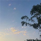 设计师罗新华的头像