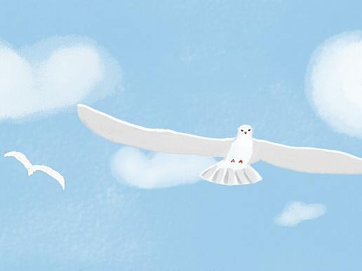 椰子史诗 克那·Z·帕姆骑士登场!ヾ(◍°∇°◍)ノ゙