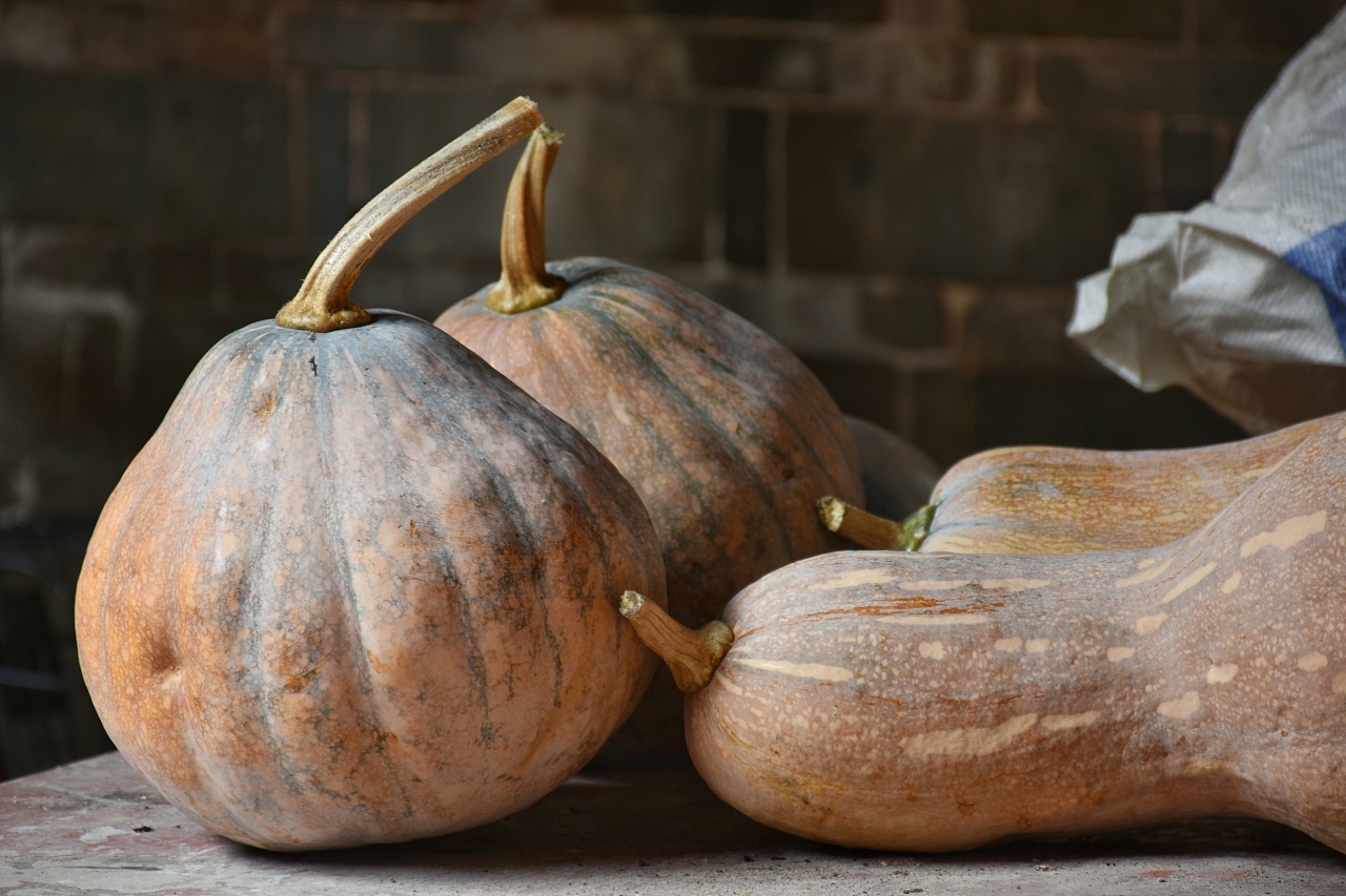 南瓜|摄影|静物|z16642031 - 原创作品 - 站酷 (zcool)