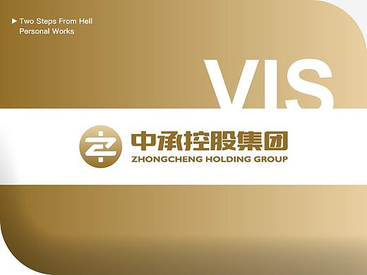 中承控股集团VIS系统