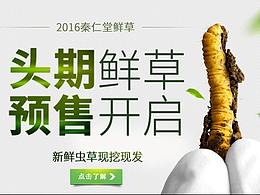 虫草包装