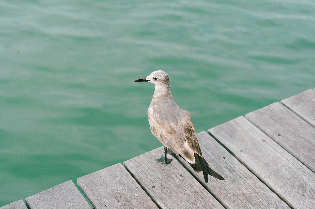 Photography摄影作品集（图ZMTc4NDc1MTM2） - 风光摄影 - 站酷设计师楼轩原创素材 - 站酷ZCOOL