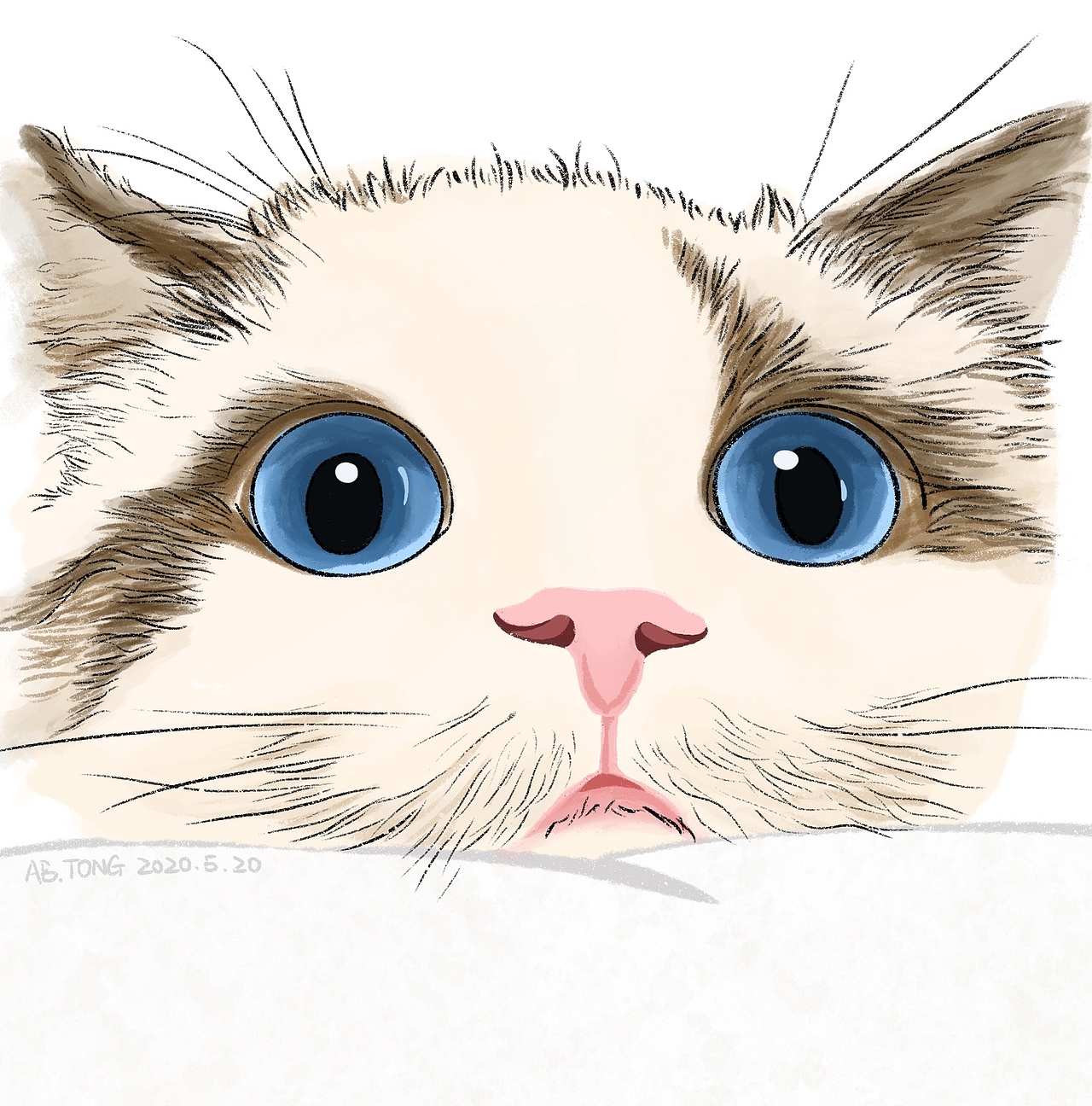 可可爱爱小萌宠们