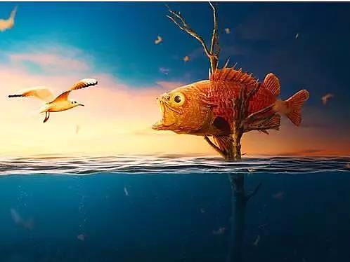 如何使用Adobe Photoshop创建有趣的水下照片处理！