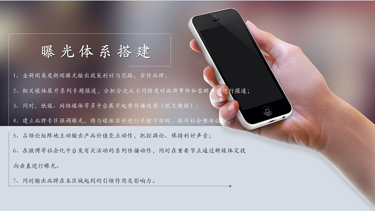 河南蓝城·周口桃李春风产品品鉴会活动方案