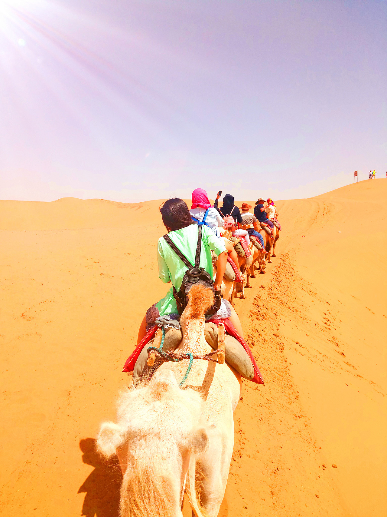 青海—塔尔寺—橡皮山—茶卡盐湖—青海湖—祁连山草原—大冬树山垭口—明乐扁都口—张掖丹霞—中卫沙坡头