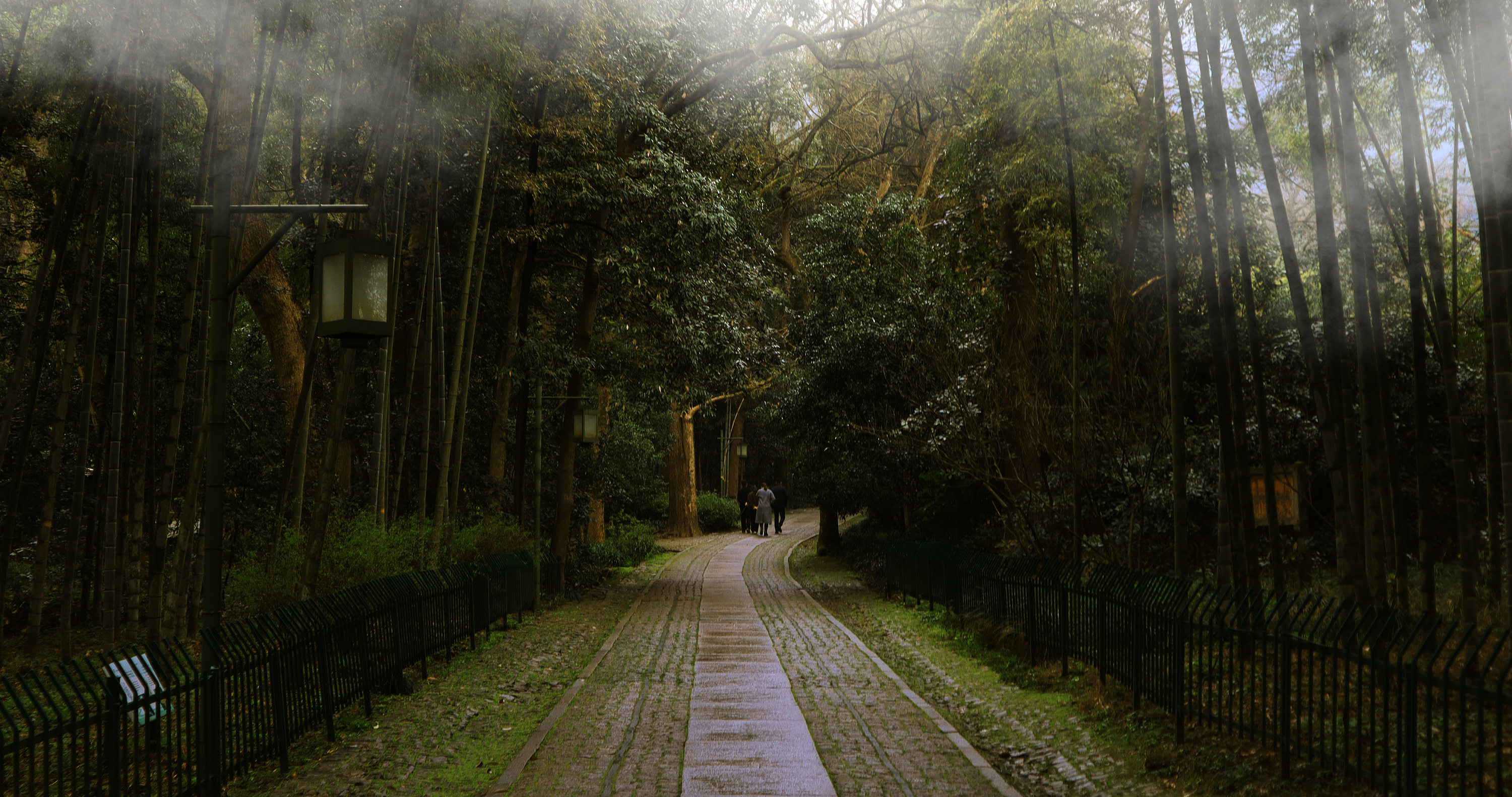 杭州· 云栖竹径