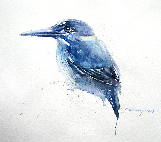 水彩大嘴鸟 练习|插画|艺术插画|stanley2012 - 原创作品 - 站酷