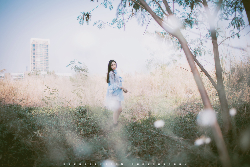 梦里不知身是客