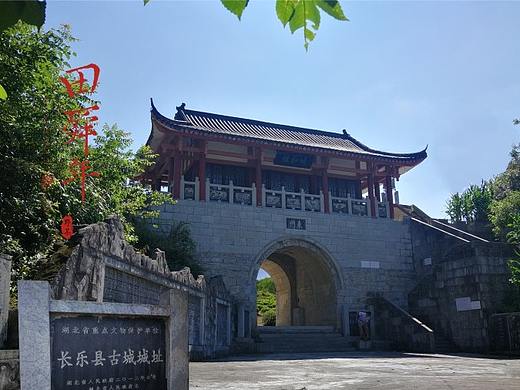 茶业画册设计-农业产品画册-产品摄影-故事撰写