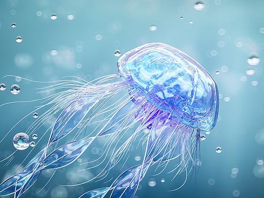 2021 · 夏 · 日练