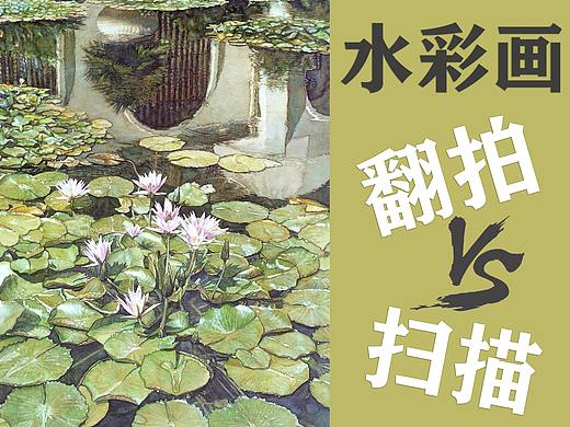 水彩画扫描用电分扫描好还是翻拍好?