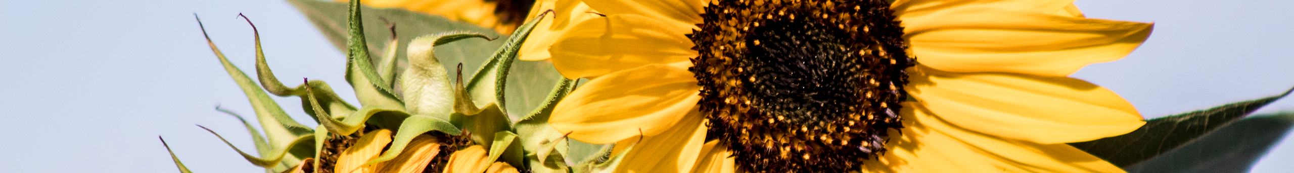 萌萌吖李的個(gè)人主頁（封面預(yù)覽） - 主頁封面設(shè)置 - 站酷設(shè)計(jì)師萌萌吖李原創(chuàng)素材 - 站酷ZCOOL