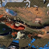 Yang_rr的头像