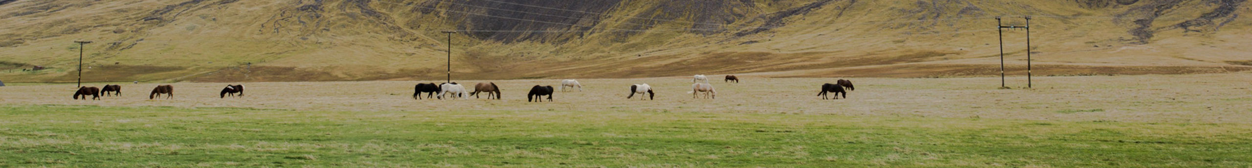 梦折的个人主页（封面预览） - 主页封面设置 - 站酷设计师梦折原创素材 - 站酷ZCOOL