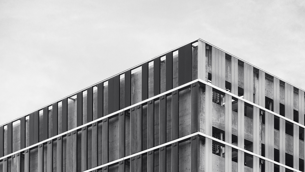 「树头文化」文案公司标志