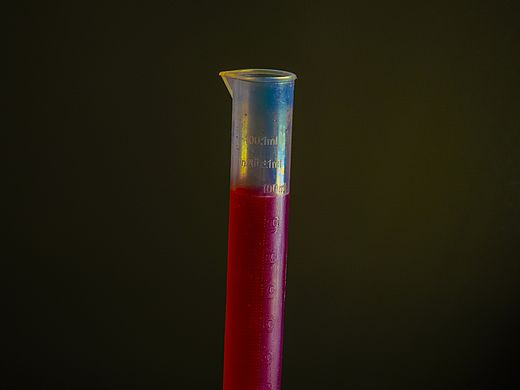 自酿干型红葡萄酒