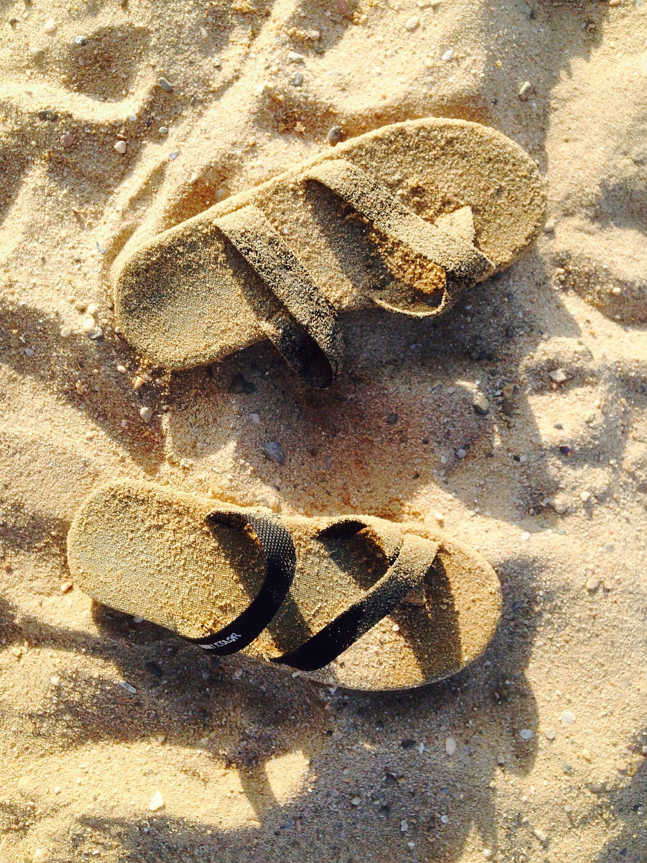 每个人都有一个摄影梦