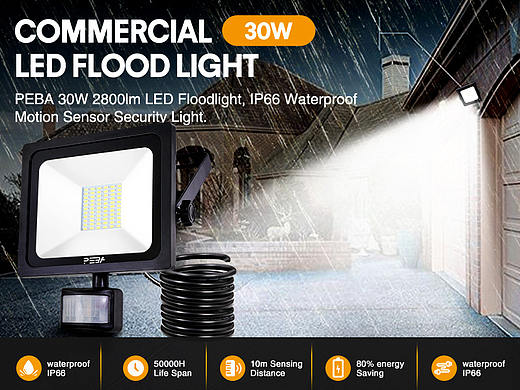 30W LED IP66 Flood Light A+