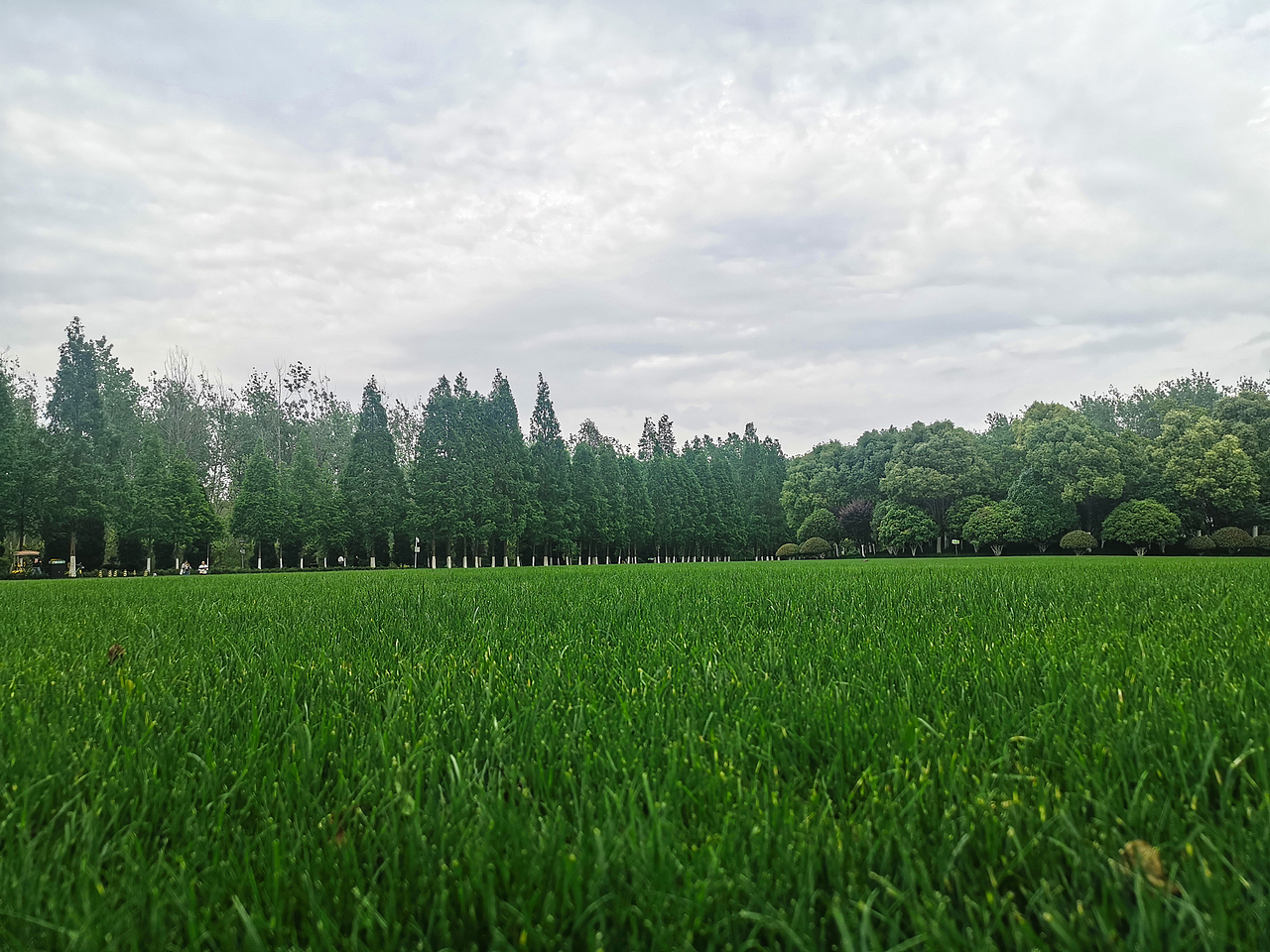 《五一游玩》手机随拍+10