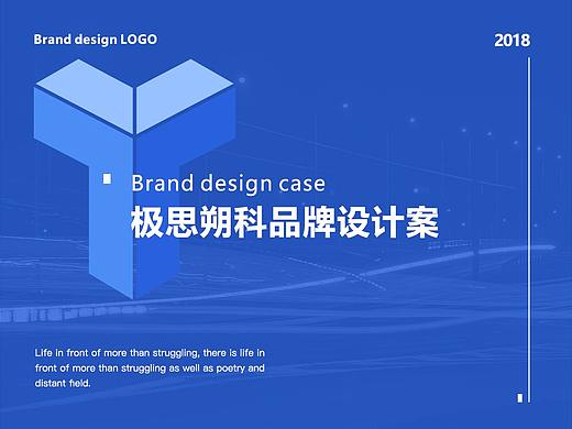 极思朔科网络科技LOGO品牌设计