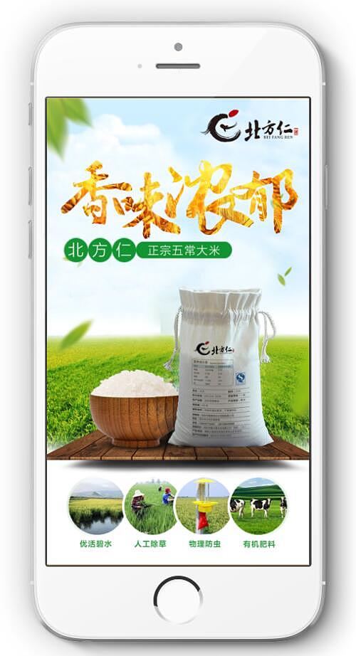 五常大米朋友圈海报设计系列