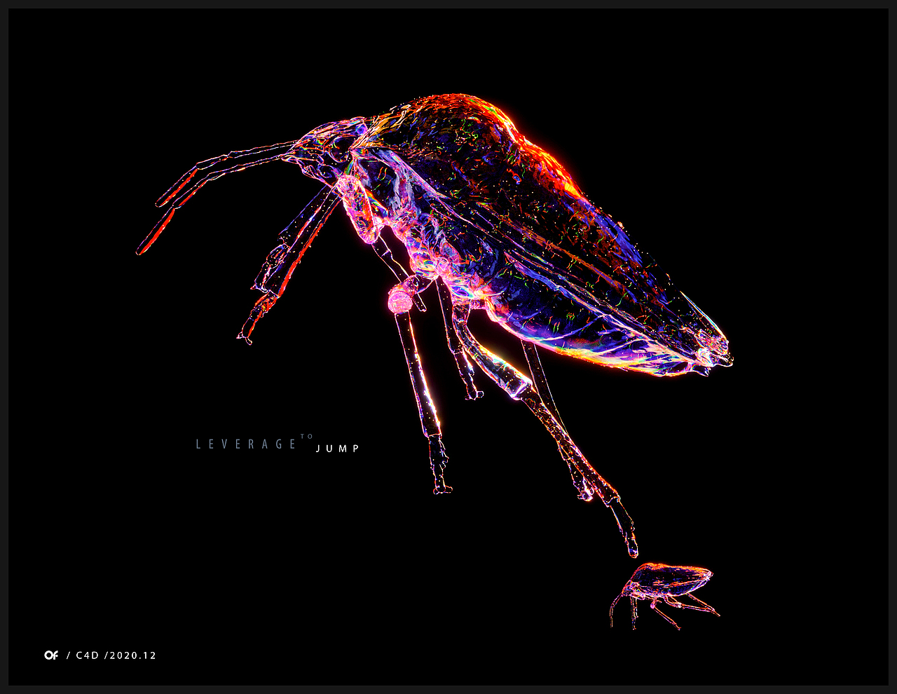 c4d×昆虫系列(上)|三维|人物/生物|ooooo峰_原创作品-站酷zcool